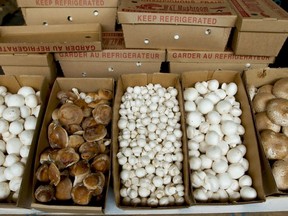 ONTARIO FOOD TERMINAL  - mushrooms.