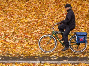 Files: A cyclist makes his way through Vincent Massey Park on a wet and windy fall day in Ottawa.