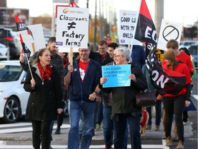 Ottawa-area teachers protest on Merivale Road near the office of Conservative MPP Jeremy Roberts on Friday afternoon.