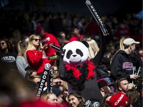 File photo/ Annual Panda game between uOttawa Gee-Gee's and the Carleton Ravens at TD Place on Saturday, Oct. 5, 2019.