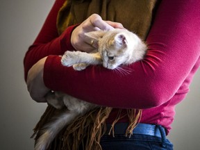 The Humane Society is looking for people to foster animals in care.