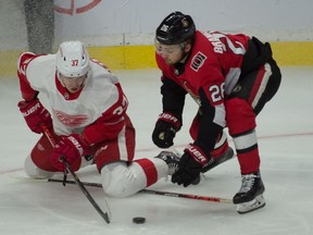 Senators defenceman Erik Brannstrom, right, in action against the Red Wings' Evgeny Svechnikov during a game on Oct. 23.