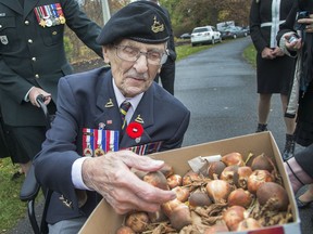 Don White, 95, takes a look at the gift box of tulips presented to the NCC. The royal gift of "Liberation75" tulips was given during a ceremonial tulip planting on Wednesday at Commissioners Park.