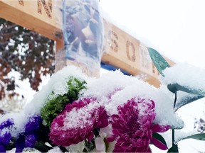 Flowers are covered in snow on Thursday at a Hardy Park memorial to Damian Sobieraj near the spot where he died more than a year ago in Brockville.