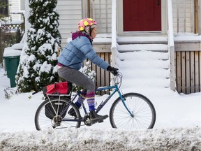 Residents deal with the first significant snowfall of the season in Ottawa.