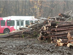 Tree-cutting along Iris Street beside the Transitway.