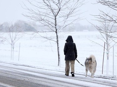 A woman walks her dog through the Experimental Farm during Ottawa's first snowfall, November 07, 2019.
