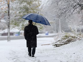 About 4.4 cm of snow fell in the capital Thursday, Nov. 5.