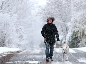 It wasn't quite the snowstorm forecasters predicted, but a few centimetres of the white stuff had dusted the Ottawa region by Thursday morning, leaving a picturesque view for dog walker Jackie Steenbakkers and her pooch Stanley in Manotick.