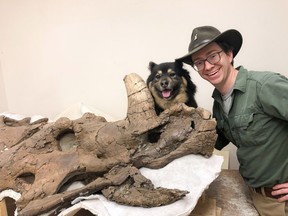 Scott Persons poses with Hannah, the skull of a Styracosaurus dinosaur that has asymmetrical horns, and Hannah, his dog which he named the skull after. Persons discovered the skull while he was a University of Alberta graduate student.