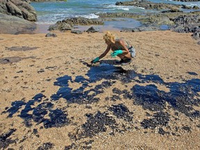 A volunteer cleans oil from the sand on a beach near the resort of "Porto of Busca Vida" in Lauro de Freitas, Bahia state, Brazil, on Saturday.