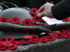 People lay poppies on the tomb of the unknown soldier at the National War Memorial.
