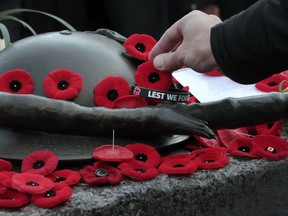 People lay poppies on the tomb of the unknown soldier at the National War Memorial in 2019