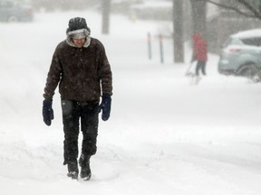 A man walks along Kenwood Ave in Westboro after a heavy snowfall hit the capital region Tuesday December 29, 2015.