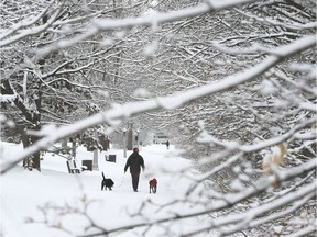 A man walks his dogs in the snow by the Rideau Canal.