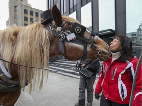 Calèche driver Nathalie Matte gets a nuzzle from her horse Knockout in Old Montreal on Sunday, Dec. 29, 2019.