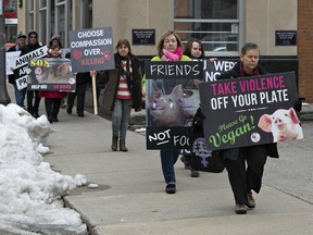 Animal rights activists walk along Queen Street in Brantford, Ontario on Wednesday afternoon April 18, 2018.