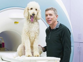 Emory neuroscientist Gregory Berns is researching how dogs think and view the world.