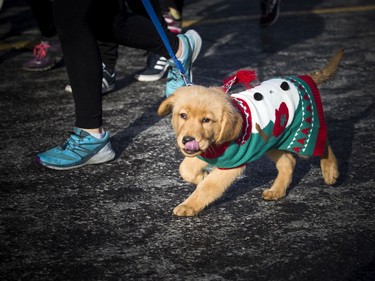 The Salvation Army's Santa Shuffle Fun Run and Elf walk was held Saturday, December 7, 2019.