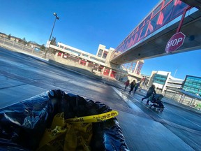 A pedestrian was killed in a collision with an OC Transpo bus at Bayshore Station Friday Night.