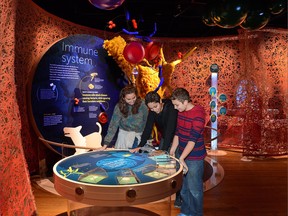 Me & My Microbes: The Zoo Inside You, a new exhibition at the Canadian Museum of Nature, uses interactive exhibits to explain how microbes help the human body work properly.