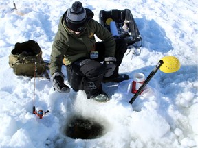A Carleton fish biologist has been investigating what happens to fish during the coldest season. Bad things, sometimes, but different fish handle it different ways.