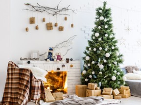 Fireplace and Christmas tree with presents in living room