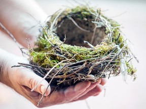 A person holds a nest. As the children grow up and move out, parents find themselves adjusting to a new life not filled with crazed appointments and children's playdates. What comes next?