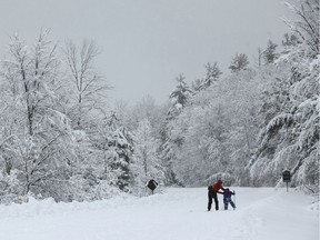 A mother and child on the cross-country ski trails in Gatineau Park.