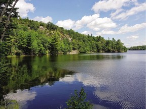 Frontenac Arch Whitefish Shoreline on June 14.