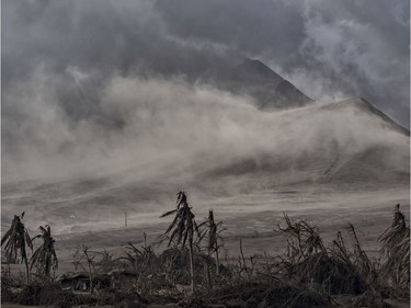 Dead trees near Taal Volcano's crater are seen covered in volcanic ash from the volcano's eruption on January 14, 2020 in Taal Volcano Island, Batangas province, Philippines. The Philippine Institute of of Volcanology and Seismology raised the alert level to four out of five, warning that a hazardous eruption could take place anytime, as authorities have evacuated tens of thousands of people from the area. An estimated $10 million worth of crops and livestock have been damaged by the on-going eruption, according to the country's agriculture department.