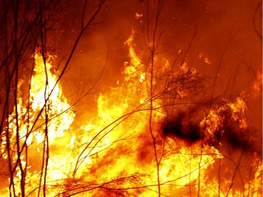 Bushfires burn between the townships of Bemm River and Cann River in eastern Gippsland on January 02, 2020, Australia. The HMAS Choules docked outside of Mallacoota this morning to evacuate thousands of people stranded in the remote coastal town following fires across East Gippsland which have killed one person and destroyed dozens of properties.