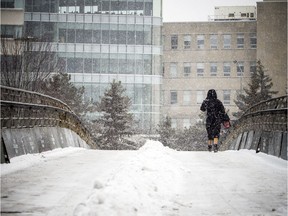 Ottawa was hit with freezing rain and snow Sunday January 12, 2020.   Ashley Fraser/Postmedia