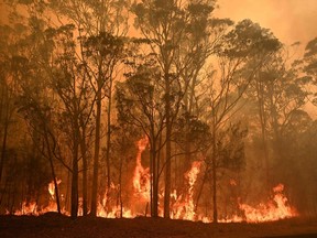 A bushfire burns in the town of Moruya, south of Batemans Bay, in New South Wales on January 4, 2020. - Up to 3,000 military reservists were called up to tackle Australia's relentless bushfire crisis on January 4, as tens of thousands of residents fled their homes amid catastrophic conditions.