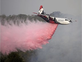 In this Jan. 10, 2020, photo, Rural Fire Service large air tanker 134, operated by Coulson Aviation in the U.S. state of Oregon, drops fire retardant on a wildfire burning close to homes at Penrose, Australia, 165km south of Sydney. Three American crew members died Thursday when this C-130 Hercules aerial water tanker crashed while battling wildfires in southeastern Australia, officials said.