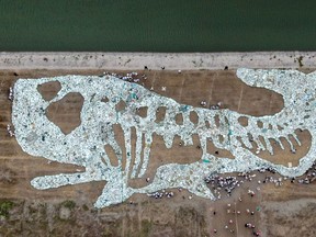 This aerial photo taken on June 10, 2019 shows a 68-metre long image of a whale formed by plastic waste collected from the ocean during an event to raise awareness on ocean conservation at Rudong Yangkou Harbour in Nantong in China's eastern Jiangsu province.