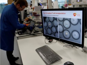 FILE PHOTO: A scientist studies cancer cells inside white blood cells through a microscope at the GlaxoSmithKline (GSK) research centre in Stevenage, Britain.