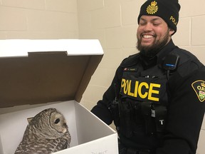 Const. Kenny Fuentes with rescued barred owl.