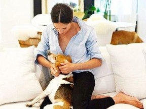 Meghan Markle cuddles her dog, Guy, on the sofa.