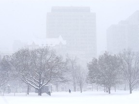 File photo/ A man walks in the snow in Confederation Park.