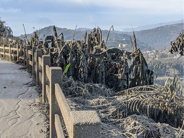 Ashfall after the eruption of the Taal volcano is seen in Tagaytay City, Cavite, Philippines January 13, 2020 in this picture obtained from social media.