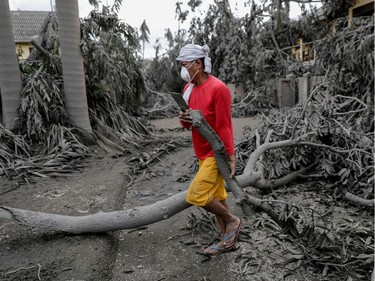 A worker carries a fallen branch in a resort blanketed with volcanic ash in Talisay, Batangas, Philippines, January 14, 2020.