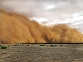 This handout photo taken on January 17, 2020 and received on January 20 courtesy of Marcia Macmillan shows a dust storm in Mullengudgery in New South Wales. - Dust storms hit many parts of Australia's western New South Wales as a prolonged drought continues