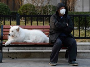 A man wears a face mask as a preventive measure against the COVID-19 coronavirus as he sits with his dog on a bench on a sidewalk in Beijing on February 25, 2020.