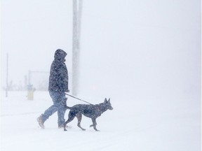 A pedestrian walks his dog.