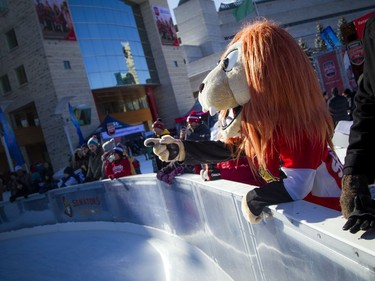 The Ottawa Senators Alumni and NHL Alumni held a shinny game at the Rink of Dreams in front of City Hall Saturday, February 8, 2020, part of the Home Town Hockey Tour. Spartacat was there to enjoy the fun and cheer on his team Saturday morning.