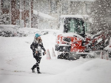 A woman walks along Bentworth Cres in the west end as giant snowflakes fall.