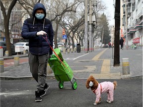 A man wearing a face mask walks his dog as he pulls a trolley after shopping in Beijing on February 13, 2020. - The number of deaths and new cases from China's COVID-19 coronavirus outbreak spiked dramatically on February 13 after authorities changed the way they count infections in a move that will likely fuel speculation that the severity of the outbreak has been under-reported.