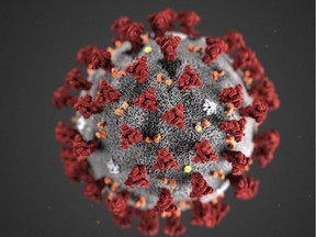 (FILES) This file handout illustration image obtained February 3, 2020, courtesy of the Centers for Disease Control and Prevention, and created at the Centers for Disease Control and Prevention (CDC), reveals ultrastructural morphology exhibited by the novel coronavirus, COVID-19. - American health authorities said February 25, 2020 they ultimately expect the novel coronavirus to spread in the United States and are urging local governments, businesses, and schools to develop plans like canceling mass gatherings or switching to teleworking. The comments mark a significant escalation in the level of threat being conveyed to the US public and come amid fears of a pandemic, as the disease has taken root in several countries outside China, including Iran, Italy, Japan, Singapore, South Korea, Taiwan and Thailand.