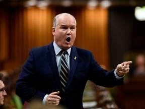 Conservative MP Erin O'Toole asks a question during Question Period in the House of Commons on Parliament Hill in Ottawa on Friday, April 5, 2019.